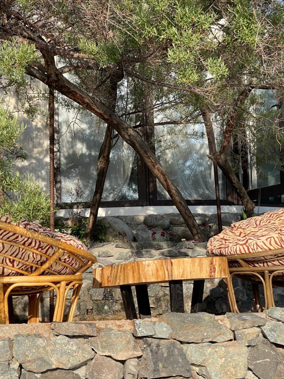 Ak-Tengir Yurt Resort Tossor ภายนอก รูปภาพ